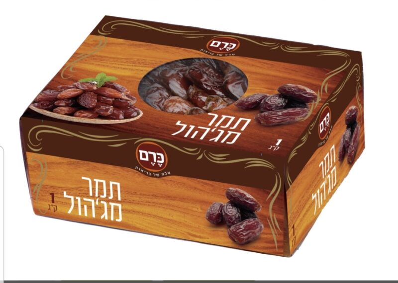 תמר מג'הול – תמונה 2