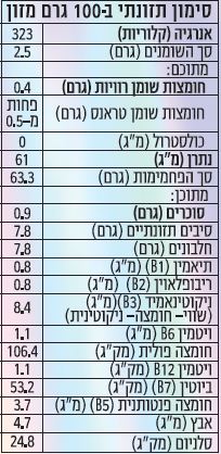 תחליף קמח ללא גלוטן – תמונה 3