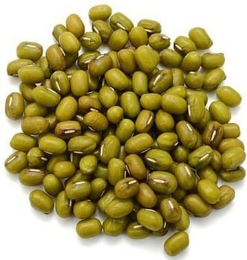 שעועית מש