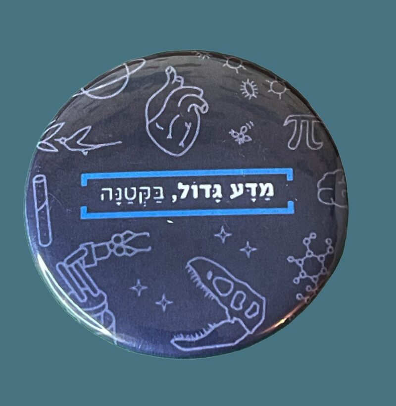 סיכה - מדע גדול, בקטנה – תמונה 2