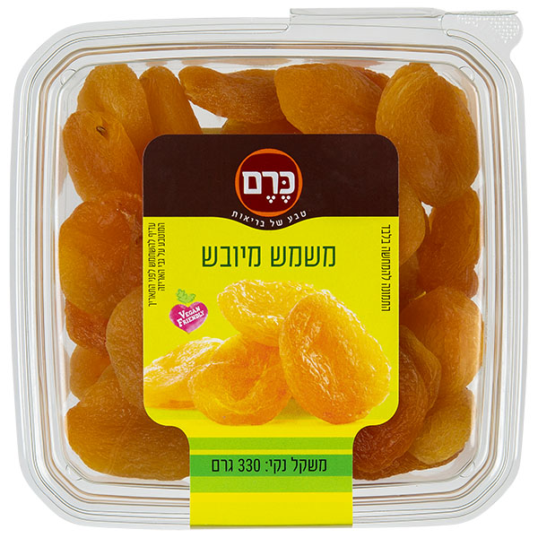 משמש מיובש