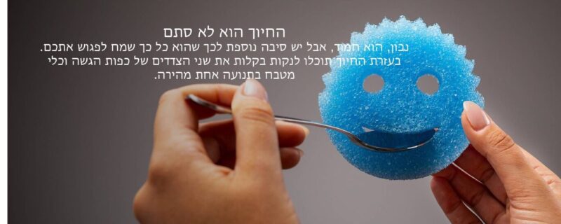 ספוג קרצוף לכלים סקראב דדי – תמונה 6